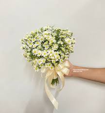 Phép Màu Tình Yêu