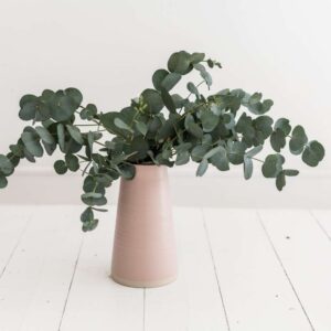 Khởi Đầu Kim Cương